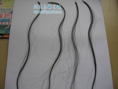 ​不能随便带回家的东西有哪些？ 毛发、不知来历的佛像