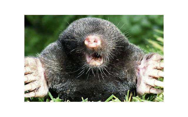 还有挽救的机会 爱情即将破灭该怎么办