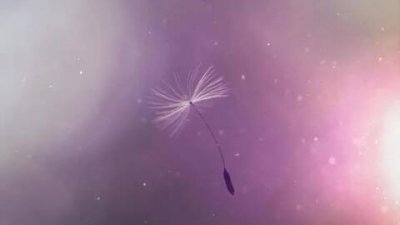 ​高傲的个性签名说说，孤傲高冷的霸气签名