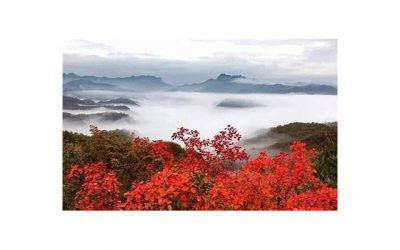 ​如何推销自己的话术